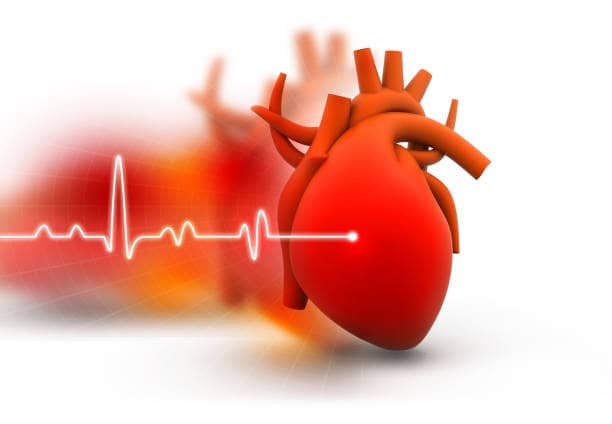 saúde do coração pressão arterial baixa 