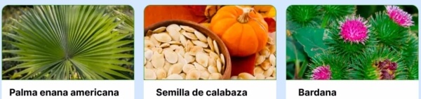 Composição e ingredientes