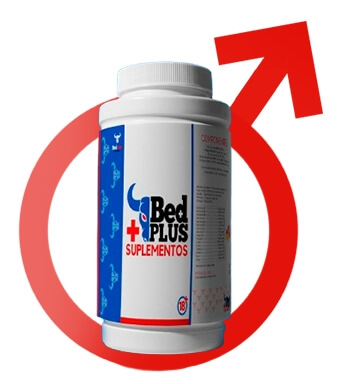 Bed Plus + Cápsulas Angola