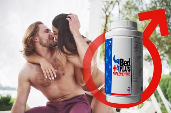 Bed Plus + - O que é e como funciona