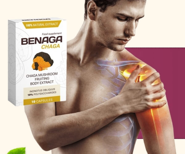 Benaga Chaga para dores nas articulações
