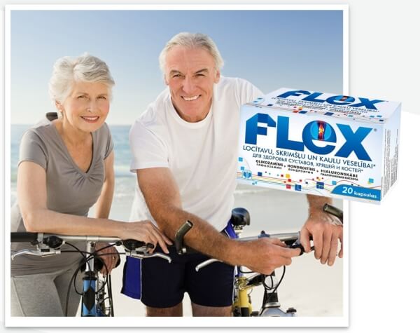Flex – O que é e como funciona