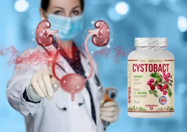 Como usar o Cystobact Instruções